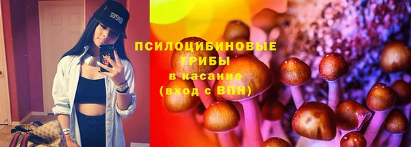 сатива Гусь-Хрустальный