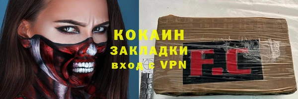 сатива Гусь-Хрустальный