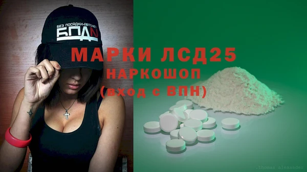 сатива Гусь-Хрустальный