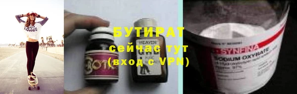 сатива Гусь-Хрустальный