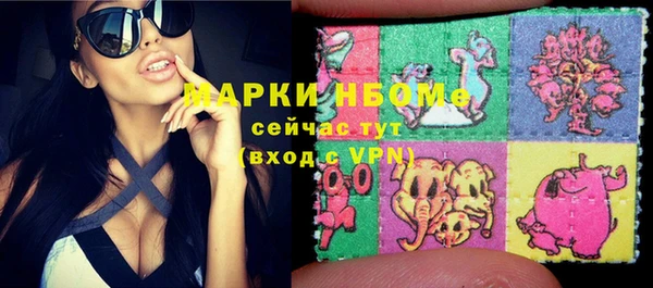 сатива Дмитриев