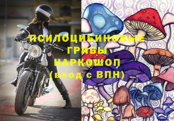 сатива Гусь-Хрустальный